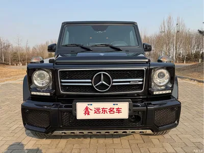 2016 Mercedes-Benz G-Class AMG Model AMG G 63 Edition 463, фото 4, лот 10364134