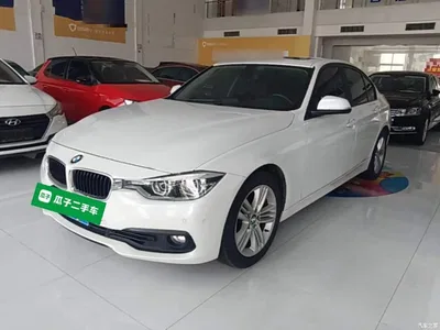 2017 BMW 3 Series 318i Fashion, фото 2, лот 10457609
