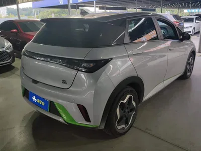 2021 BYD Dolphin Model 405km Fashion Edition, фото 3, лот 10251733