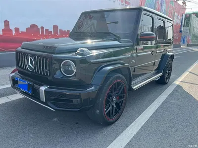 2019 Mercedes-Benz G-Class G 500, фото 1, лот 10255040