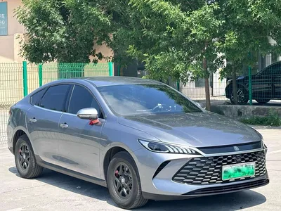 2025 BYD Qin PLUS DM-i Smart Drive 55KM Leader, фото 3, лот 10363049