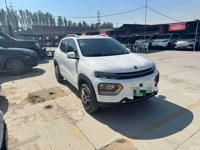 2022 Dongfeng Yipai Nano BOX Wind Chaser Edition 351KM Advanced, фото 3, лот 11533966