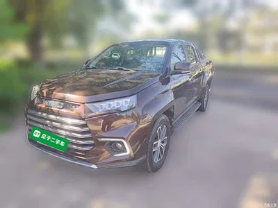 2020 Jiangling Yuhu 9 2.0T Automatic Diesel 4WD Comfort, фото 1, лот 11157127