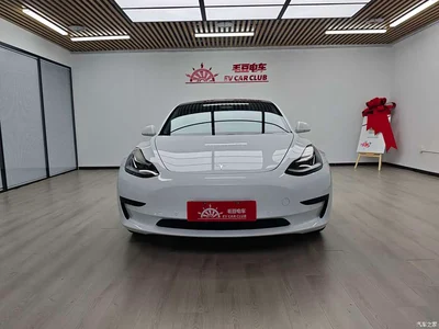 2019 Tesla Model 3 Standard Range Rear-Wheel Drive Upgrade, фото 3, лот 10366325