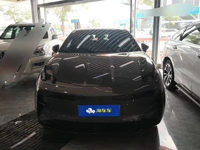 2024 ZEEKR X Model 5-Seat 4WD Version, фото 2, лот 10291822