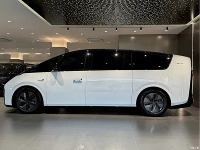 2025 Li Auto MEGA Model Home Family Special Edition, фото 4, лот 10766444