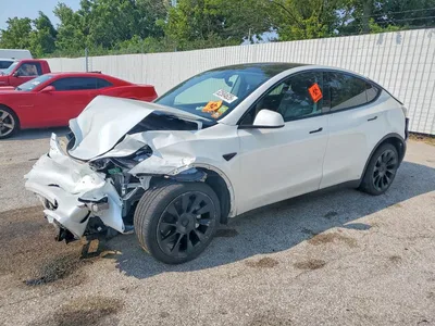 2023 TESLA MODEL Y, фото 1, лот 10852467