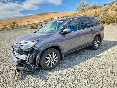 2022 HONDA PILOT EXL, фото 1, лот 10701778