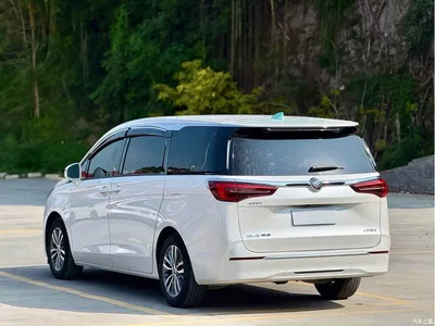 2021 Buick GL8 ES Landlord 653T Comfort, фото 4, лот 10253003
