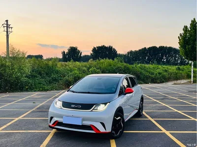 2021 BYD Dolphin Model 405km Fashion Edition, фото 1, лот 10246993