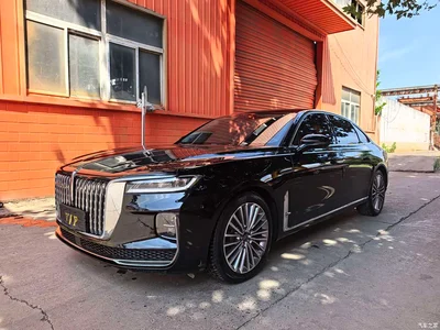 2020 Hongqi H9 2.0T Smart Connection Qi Chang Edition, фото 1, лот 10288238