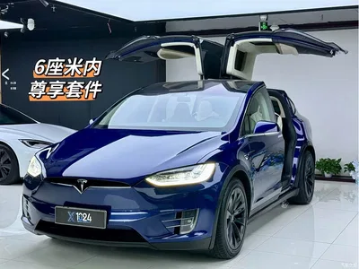 2017 Tesla Model X 100D Long Range, фото 1, лот 10392856