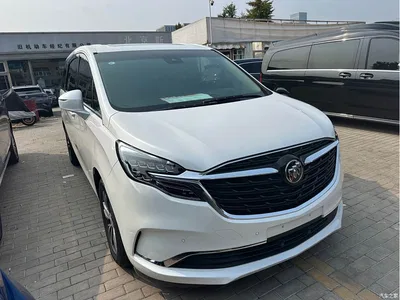 2021 Buick GL8 ES Landlord 653T Premium, фото 3, лот 10803938