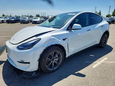 2025 TESLA MODEL Y, фото 1, лот 10767966