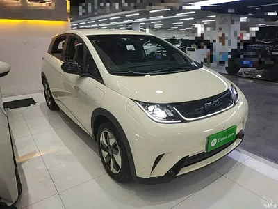 2025 BYD Dolphin 420km Freedom Edition, фото 4, лот 10259714