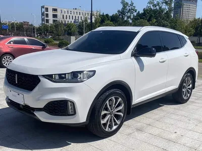 2018 WEY VV6 2.0T 2WD Super Luxury China V, фото 3, лот 10662972