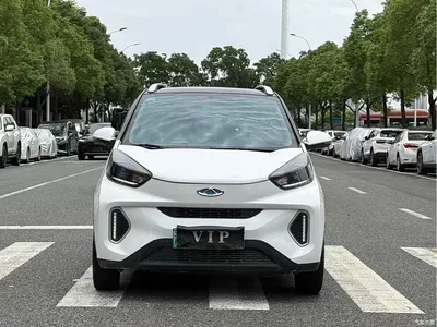 2019 QQ New Energy Little Ant 4-Seater Smart Flash Edition 30.6kWh, фото 2, лот 10823662