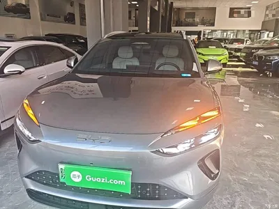 2025 BYD Sealion 06 New Energy DM-i 170 Pilot Plus Edition, фото 3, лот 10474609