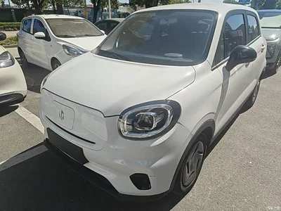 2023 Leapmotor T03 200 Light Edition, фото 1, лот 10441896