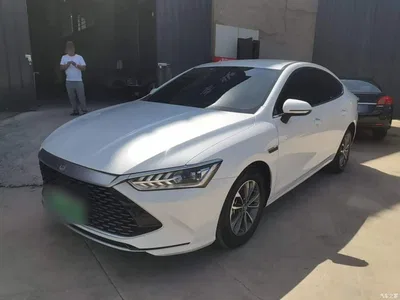 2024 BYD Qin PLUS Glory Edition DM-i 55KM Leading, фото 2, лот 10362789