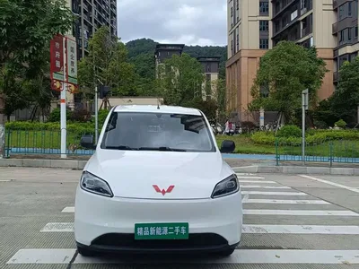 2024 Wuling Motors Wuling Hongguang New Energy Pure Electric 300KM Standard, фото 2, лот 11167370