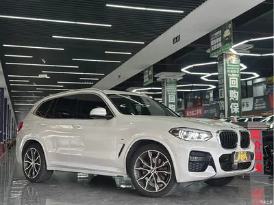 2021 BMW X3 xDrive30i Leading M Sport Package, фото 3, лот 11195692