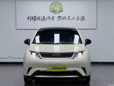 2024 BYD Dolphin Glory Edition 420km Fashion Edition, фото 3, лот 10382239