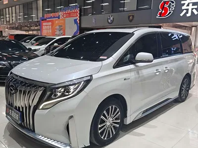 2021 GAC Trumpchi Trumpchi M8 Master Series 390T Prestige Edition, фото 1, лот 10420045