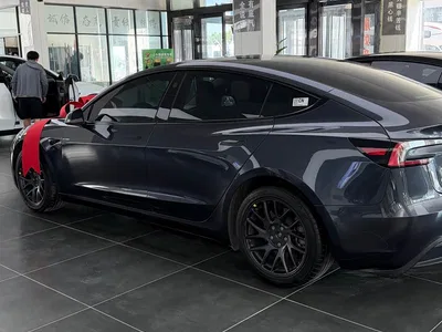 2023 Tesla Model 3 Rear-Wheel Drive, фото 3, лот 10352117