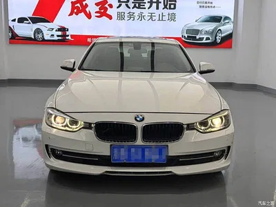 2015 BMW 3 Series 320Li Super Joy Fashion, фото 3, лот 11102094