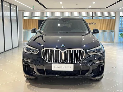2019 BMW X5 (Import) xDrive40i M Sport Package, фото 3, лот 10406439
