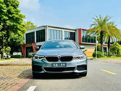 2020 BMW 5 Series (Import) 530i M Sport Package, фото 3, лот 11137881
