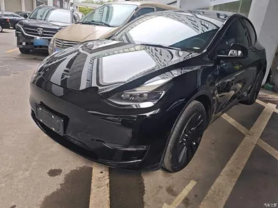 2021 Tesla Model Y Standard Range Rear-Wheel Drive, фото 1, лот 10381606