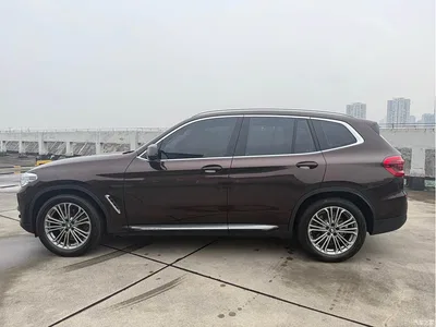 2018 BMW X3 xDrive28i Luxury Package China VI, фото 3, лот 11300258