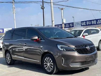 2021 Buick GL8 Land Business Class 652T Luxury, фото 3, лот 10256623