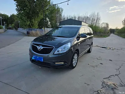 2018 Buick GL8 28T Luxury Model China VI, фото 1, лот 10257957