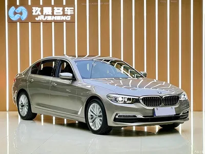 2019 BMW 5 Series 530Li Leading Luxury Package, фото 3, лот 11095002