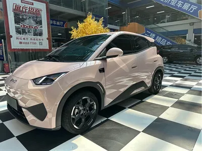 2025 BYD Seagull Smart Driving Edition 405km Flying Edition, фото 1, лот 10257455
