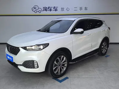 2020 WEY VV6 2.0T 2WD Smart Enjoy+, фото 1, лот 10404732
