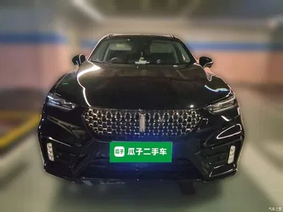 2020 WEY VV7 Model 2.0T Flagship, фото 2, лот 11189128