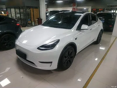 2024 Tesla Model Y Rear-Wheel Drive Version, фото 2, лот 10370109