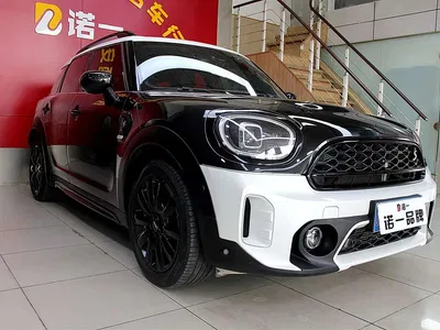2023 MINI COUNTRYMAN 2.0T COOPER S ALL4 Blank Space Special Edition, фото 3, лот 11189801