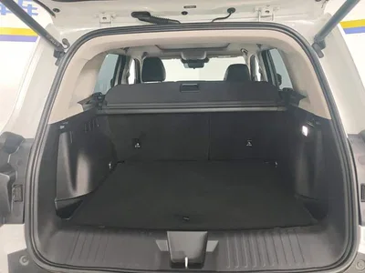 2021 Haval Big Dog 1.5T DCT 2WD Border Collie Edition, фото 4, лот 10361786