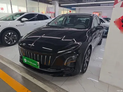 2023 Hongqi E-QM5 Facelift Basic Travel Edition, фото 2, лот 10289346