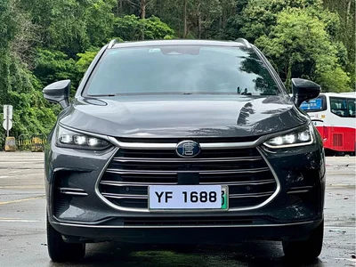 2021 BYD Tang New Energy DM-i 112KM Premium, фото 2, лот 10274361
