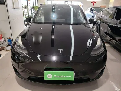2021 Tesla Model Y Standard Range Rear-Wheel Drive, фото 3, лот 10369983