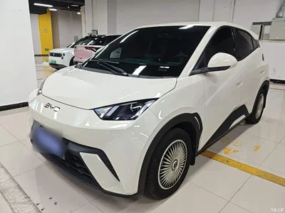 2024 BYD Seagull Glory Edition 305km Vitality Edition, фото 1, лот 11202212