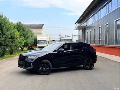 2017 WEY VV7 2.0T Flagship, фото 1, лот 10667992