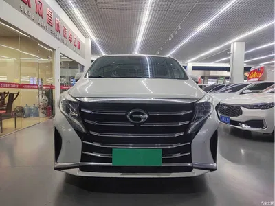 2021 GAC Trumpchi Trumpchi M8 Master Series 390T Ultimate Edition, фото 2, лот 10416957