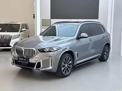 2023 BMW X5 xDrive 30Li M Sport Package, фото 1, лот 10462703